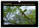 SUMATRA Abenteuer Regenwald (Wandkalender 2024 DIN A4 quer), CALVENDO Monatskalender