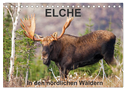 ELCHE In den nördlichen Wäldern (Tischkalender 2025 DIN A5 quer), CALVENDO Monatskalender