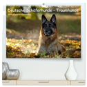 Deutsche Schäferhunde - Traumhunde (hochwertiger Premium Wandkalender 2025 DIN A2 quer), Kunstdruck in Hochglanz