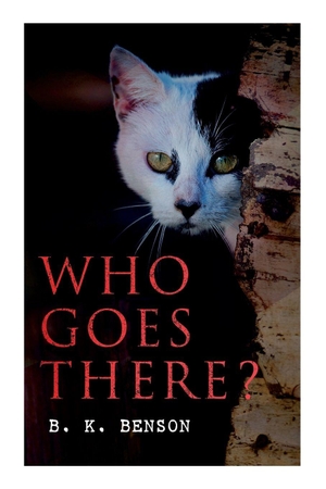 Benson, B. K.. Who Goes There? - The Story of a Spy in the Civil War. e-artnow, 2021.