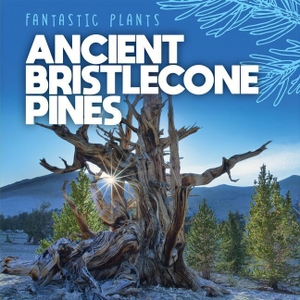 Griffin, Mary. Ancient Bristlecone Pines. Rosen Publishing Group, Inc, 2022.