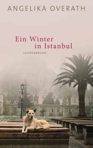 Overath, Angelika. Ein Winter in Istanbul - Roman. Luchterhand Literaturvlg., 2018.