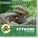 Pythons in the Wild