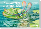 Von Larven und Libellen. Bilderbuch