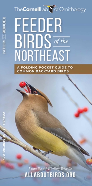 The Cornell Lab of Ornithology. Feeder Birds of the Northeast - A Folding Pocket Guide to Common Backyard Birds. Globe Pequot Publishing Group Inc, 2017.