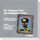 The "Dangerous Class" and Revolutionary Theory