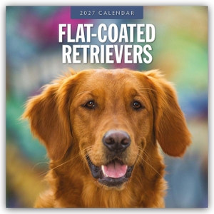 Red, Robin. Flat-Coated Retrievers - Flat Coated Retriever 2027 - 16-Monatskalender - Original Red Robin Publishing Ltd-Kalender [Mehrsprachig] [Kalender]. Browntrout Verlags GmbH, 2026.
