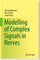 Modelling of Complex Signals in Nerves