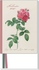 Redoutes Rosen 2027