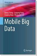 Mobile Big Data