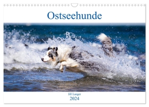 Langer, Jill. Ostseehunde (Wandkalender 2024 DIN A3 quer), CALVENDO Monatskalender - Hunde an der wunderschönen Ostseeküste. Calvendo, 2023.