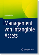 Management von Intangible Assets