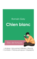 Réussir son Bac de français 2023: Analyse du roman Chien blanc de Romain Gary