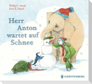 Herr Anton wartet auf Schnee