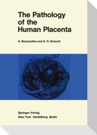 The Pathology of the Human Placenta