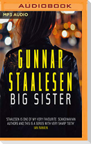 Big Sister: Varg Veum