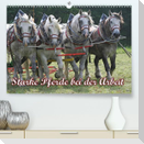 Starke Pferde bei der Arbeit (Premium, hochwertiger DIN A2 Wandkalender 2023, Kunstdruck in Hochglanz)
