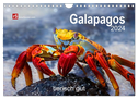 Galapagos 2024 tierisch gut (Wandkalender 2024 DIN A4 quer), CALVENDO Monatskalender