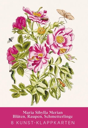Maria Sibylla Merian - Acht Kunst-Klappkarten - Motive von Flora und Fauna. Favoritenpresse, 2025.