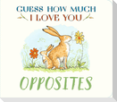 Guess How Much I Love You