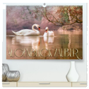 AUGENBLICK ZAUBER (hochwertiger Premium Wandkalender 2024 DIN A2 quer), Kunstdruck in Hochglanz