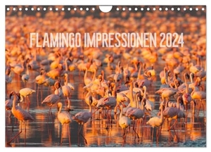 Gerlach, Ingo. Flamingo Impressionen 2024 (Wandkalender 2024 DIN A4 quer), CALVENDO Monatskalender - Grazile Vögle in rosarot. Calvendo Verlag, 2023.