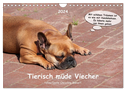 Tierisch müde Viecher (Wandkalender 2024 DIN A4 quer), CALVENDO Monatskalender