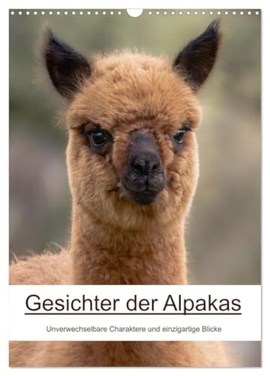 Wollentin, Nicolette. Gesichter der Alpakas - Unverwechselbare Charaktere und einzigartige Blicke (Wandkalender 2026 DIN A3 hoch), CALVENDO Monatskalender - Zwölf charakterstarke Alpaka-Portraits - ausdrucksstark, nah und unverwechselbar.. Calvendo, 2025.