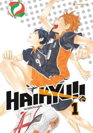 Furudate, Haruichi. Haikyu!! 01. Pegasus Manga, 2017.