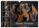 Hunde Porträts (Wandkalender 2024 DIN A4 quer)