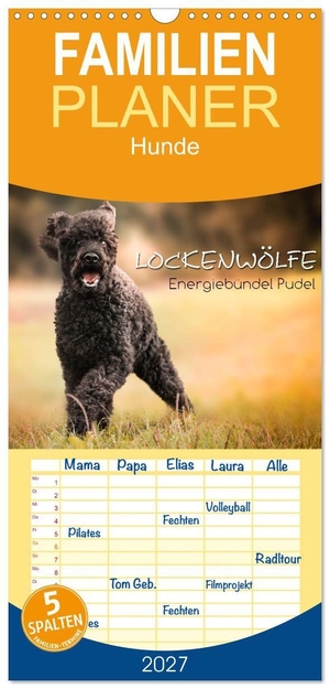 Hollstein, Alexandra. Familienplaner 2027 - Lockenwölfe - Energiebündel Pudel mit 5 Spalten (Wandkalender, 21 x 45 cm) CALVENDO - Der Pudel mal anders - die Lockenwölfe begleiten Sie durch das Jahr. Calvendo, 2026.