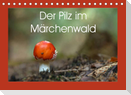 Der Pilz im Märchenwald (Tischkalender 2022 DIN A5 quer)
