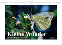 Kleine Wunder - Insekten und Spinnen (Wandkalender 2024 DIN A4 quer), CALVENDO Monatskalender
