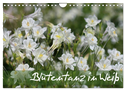 Blütentanz in Weiß (Wandkalender 2025 DIN A4 quer), CALVENDO Monatskalender