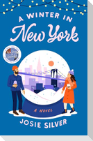 A Winter in New York