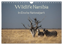 Wildlife Namibia (Wandkalender 2024 DIN A4 quer), CALVENDO Monatskalender
