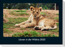 Löwen in der Wildnis 2022 Fotokalender DIN A4
