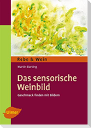 Das Sensorische Weinbild