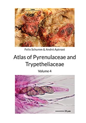 Schumm, Felix / André Aptroot. Atlas of Pyrenulaceae and Trypetheliaceae Vol 4 - Lichenized Ascomycota. Books on Demand, 2021.