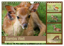 Bambis Welt (Wandkalender 2024 DIN A4 quer), CALVENDO Monatskalender