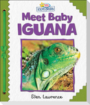 Active Minds Explorers: Meet Baby Iguana