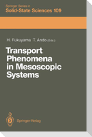 Transport Phenomena in Mesoscopic Systems