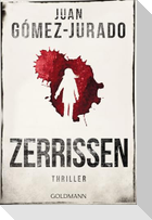 Zerrissen