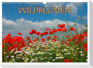 Wildblumen 2025 (Wandkalender 2025 DIN A3 quer), CALVENDO Monatskalender