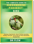 The Complete Guide to Alexandrine Parakeet Bird