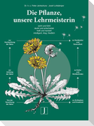 Die Pflanze, unsere Lehrmeisterin