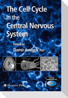 The Cell Cycle in the Central Nervous System