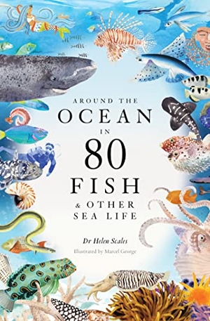 Scales, Helen. Around the Ocean in 80 Fish and other Sea Life. Orion Publishing Co, 2023.