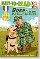 Gabe