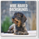 Wire-Haired Dachshunds - Rauhaardackel 2027 - 16-Monatskalender